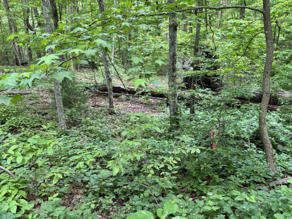 Prettiest Sunset Way, Seymour, TN 37865