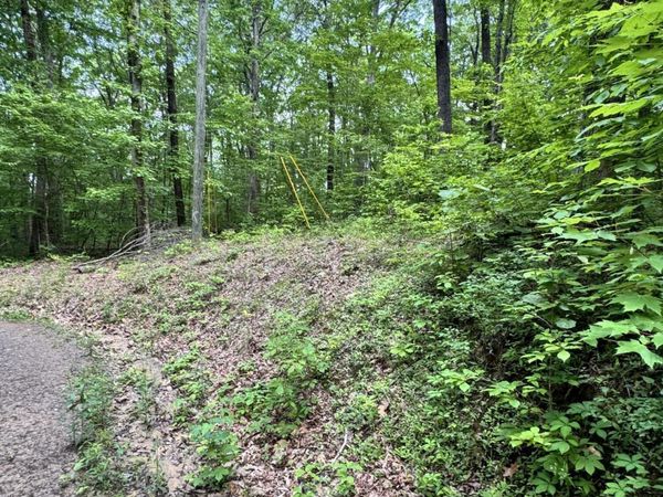 Prettiest Sunset Way, Seymour, TN 37865