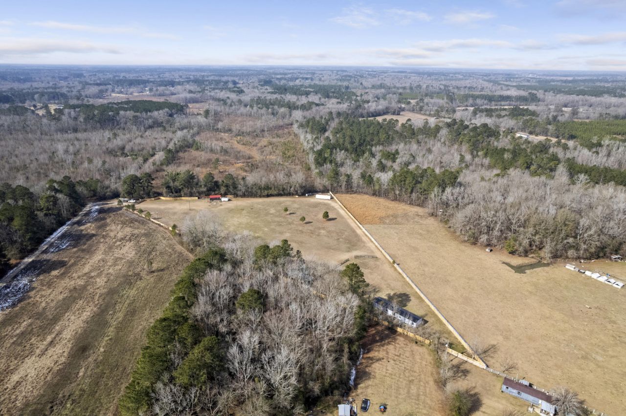 00 Foliage Street Photo 10