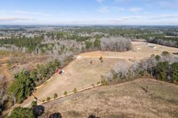 00 Foliage Street photo 4