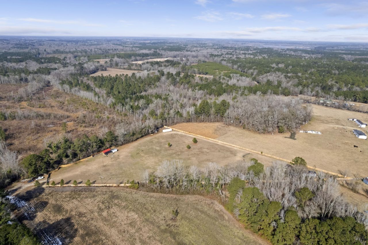 00 Foliage Street Photo 4