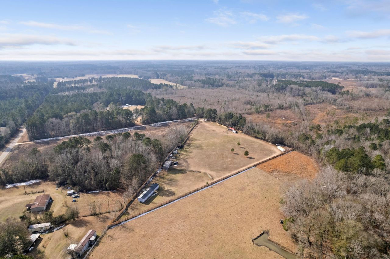 00 Foliage Street Photo 52