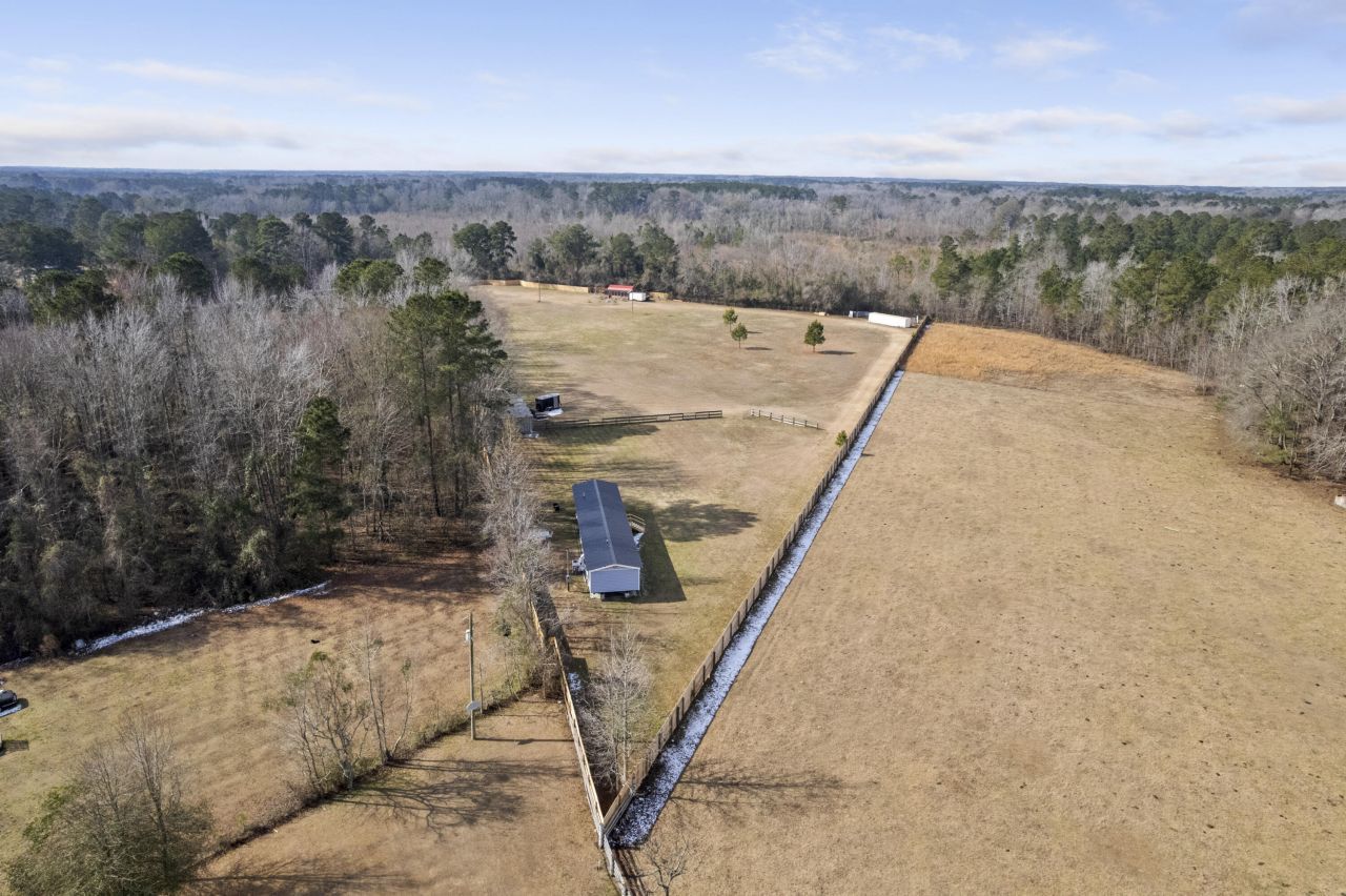 00 Foliage Street Photo 53