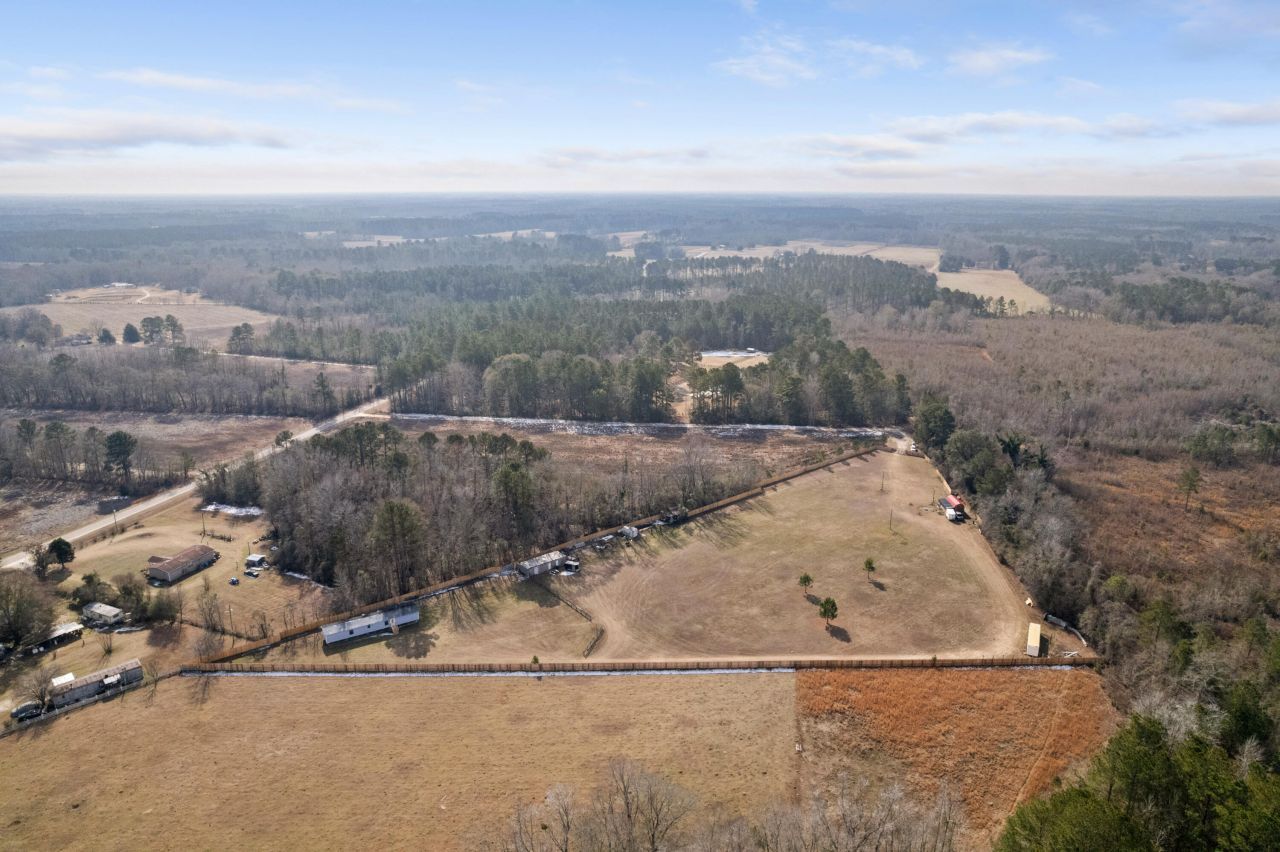 00 Foliage Street Photo 8