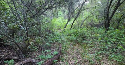 6600 Marshall Rd, Lotus, CA 95651 Photo