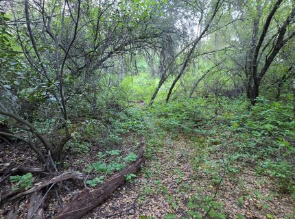 6600 Marshall Rd, Lotus, CA 95651 Photo