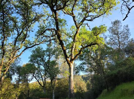 6600 Marshall Rd, Lotus, CA 95651 Photo