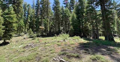 1445 & 1451 Mineral Spring Trail, Alpine Meadows, CA 94146 Photo