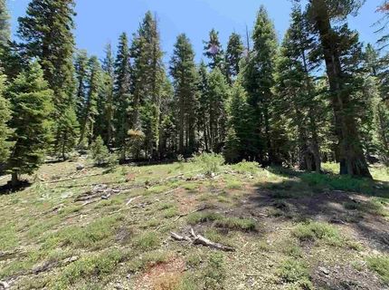 1445 & 1451 Mineral Spring Trail, Alpine Meadows, CA 94146 Photo