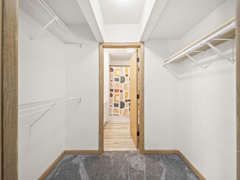 5732 Black Walnut Drive, Columbus, OH 43230 Photo 12