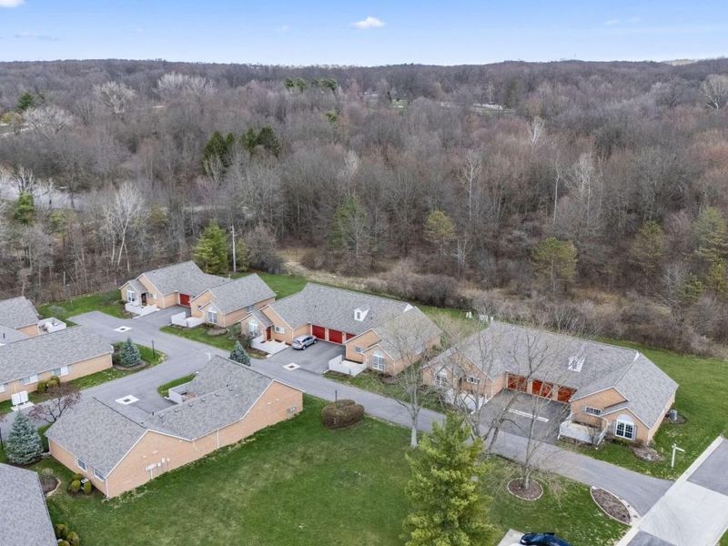 5732 Black Walnut Drive, Columbus, OH 43230 Photo 19