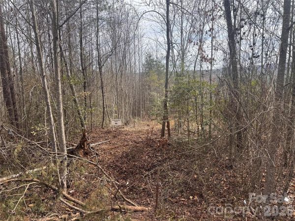 00 Billings Hill Church Road , Traphill, NC 28685