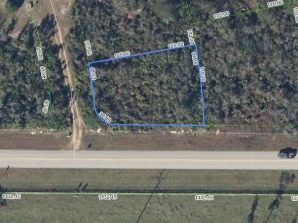421 S SAINT JOHNS BOULEVARD , AVON PARK, FL 33825
