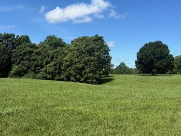 97 Paradise Alley, Russell Springs, KY 42642