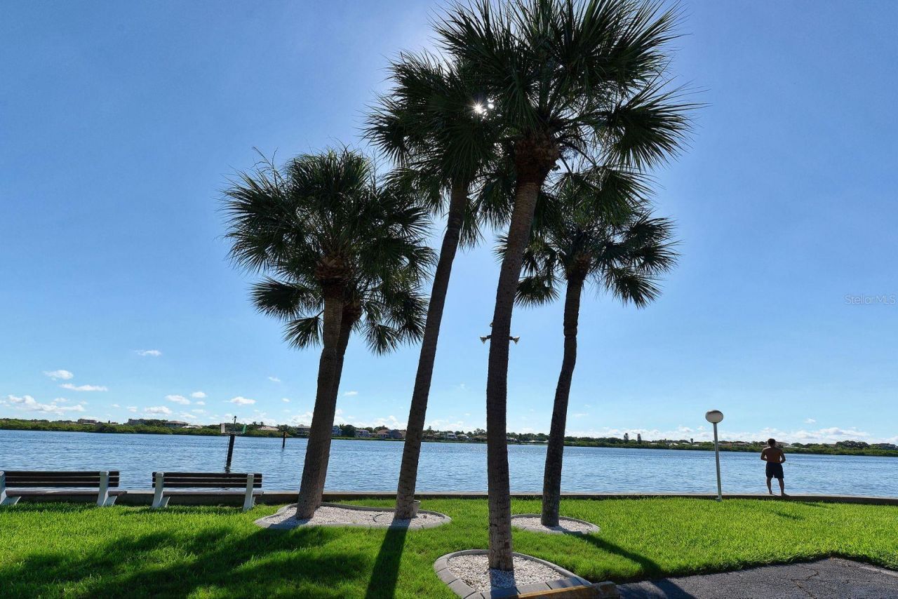 5855 Midnight Pass Road, Unit 404, Sarasota, FL 34242 Photo