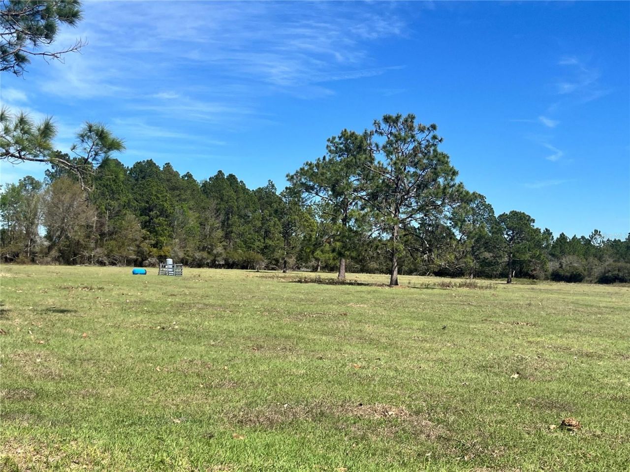 14182 SW 161st St, Brooker, FL 32622 Photo