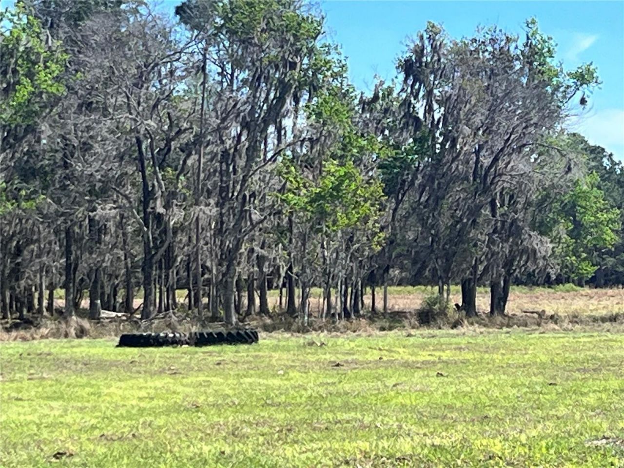 14182 SW 161st St, Brooker, FL 32622 Photo