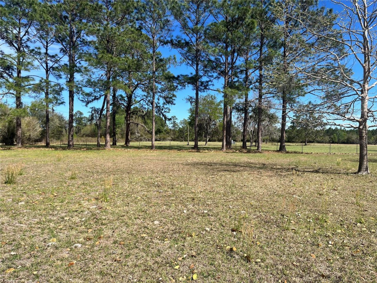 14182 SW 161st St, Brooker, FL 32622 Photo