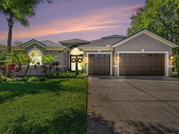 1310 OXBRIDGE DRIVE, LUTZ, FL 33549