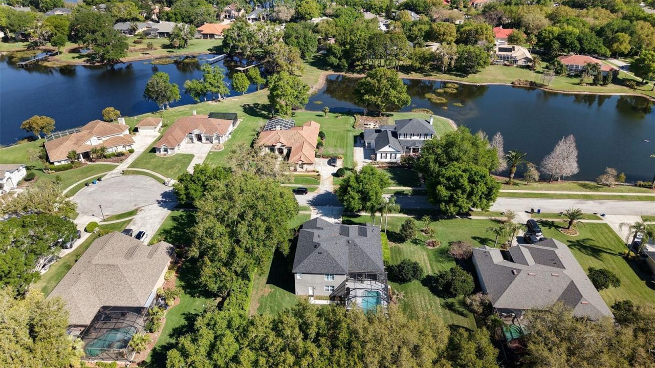 1310 Oxbridge Drive, Lutz, FL 33549 Photo