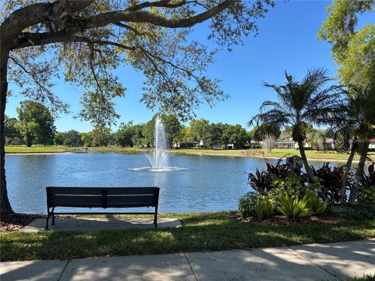 1310 Oxbridge Drive, Lutz, FL 33549 Photo