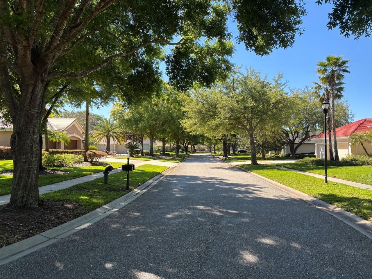 1310 Oxbridge Drive, Lutz, FL 33549 Photo