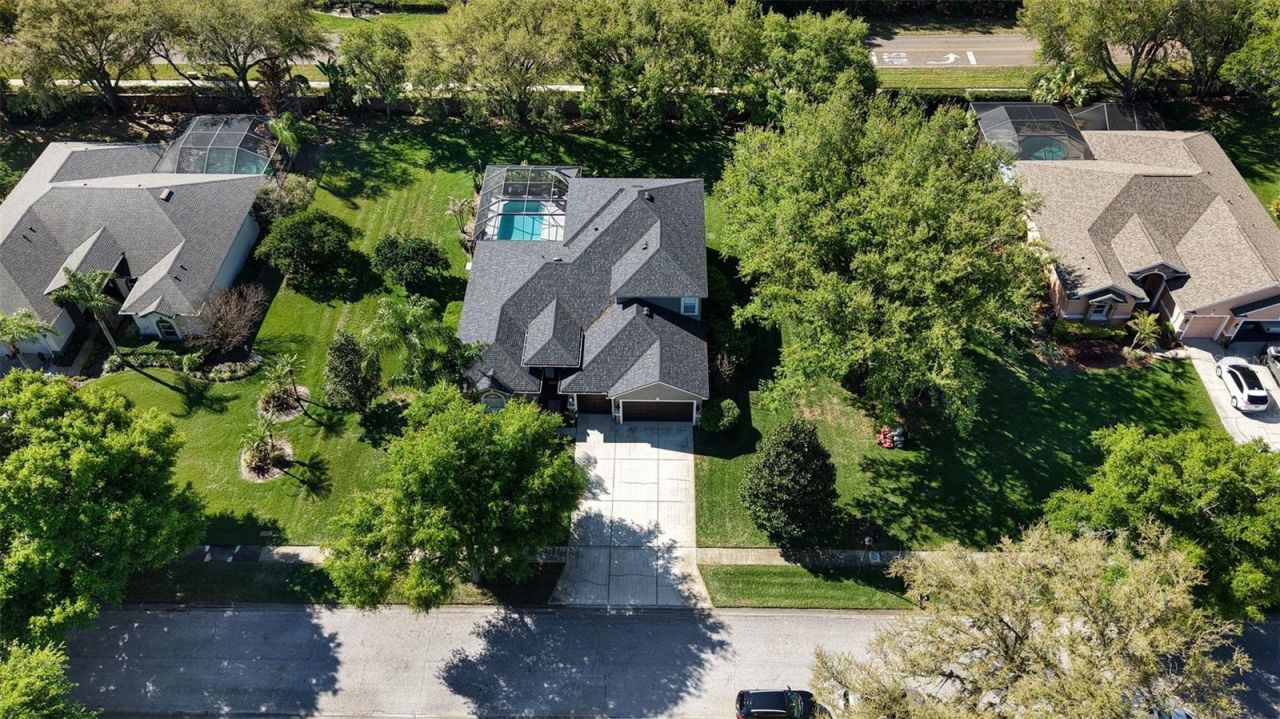 1310 Oxbridge Drive, Lutz, FL 33549 Photo