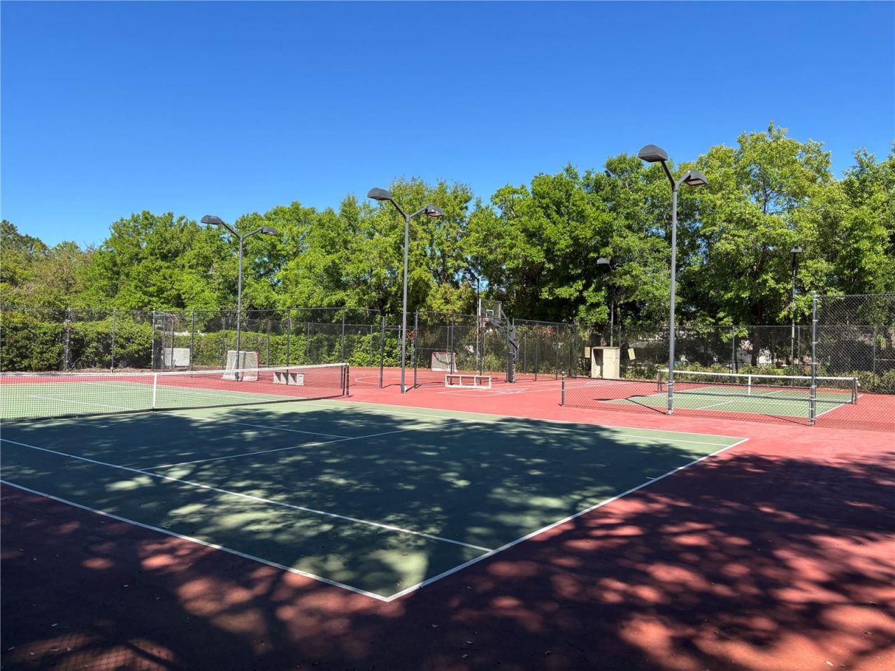 1310 Oxbridge Drive, Lutz, FL 33549 Photo