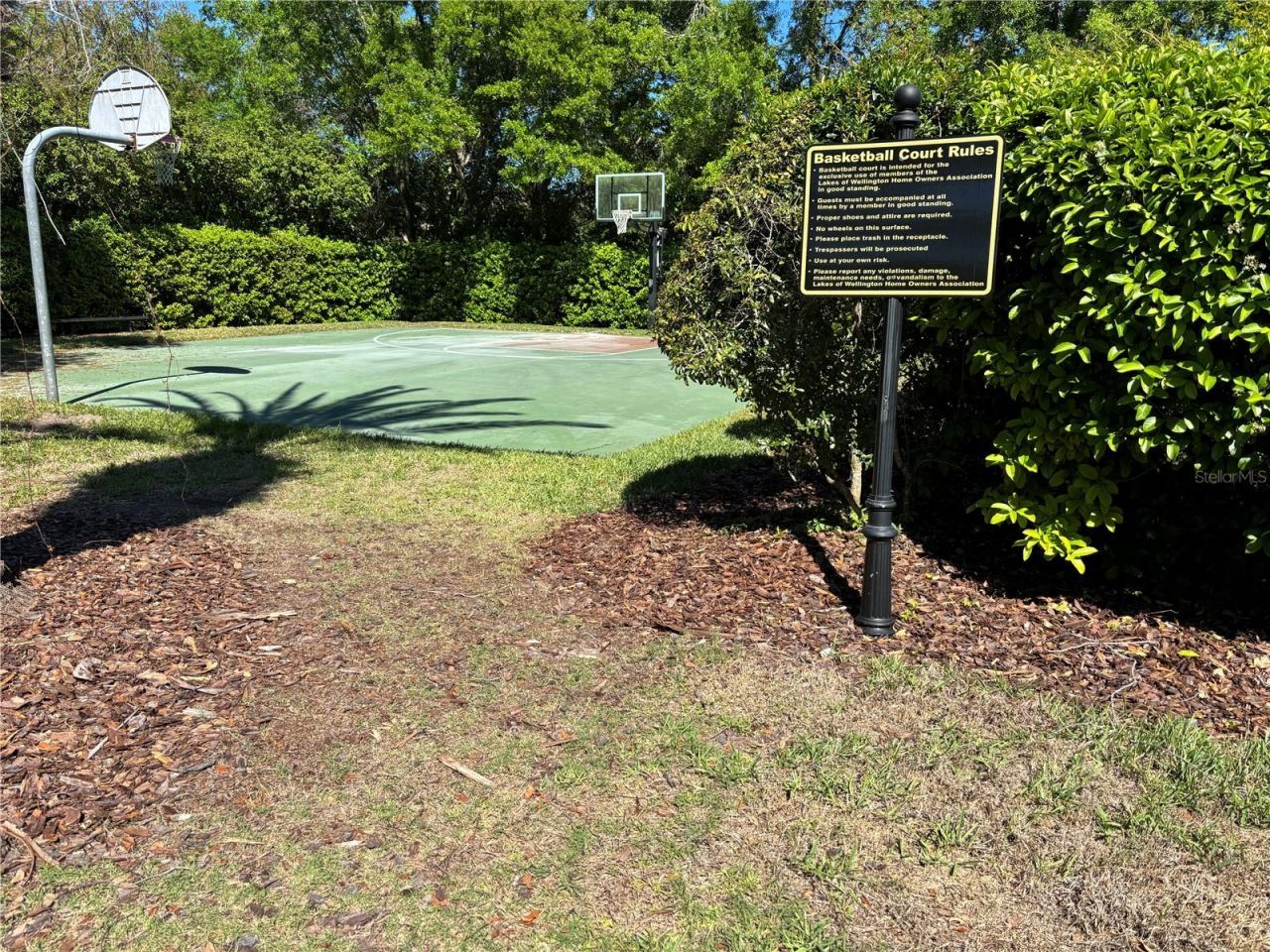 1310 Oxbridge Drive, Lutz, FL 33549 Photo
