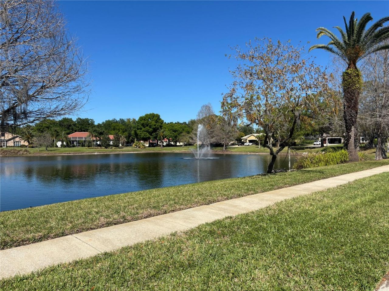 1310 Oxbridge Drive, Lutz, FL 33549 Photo