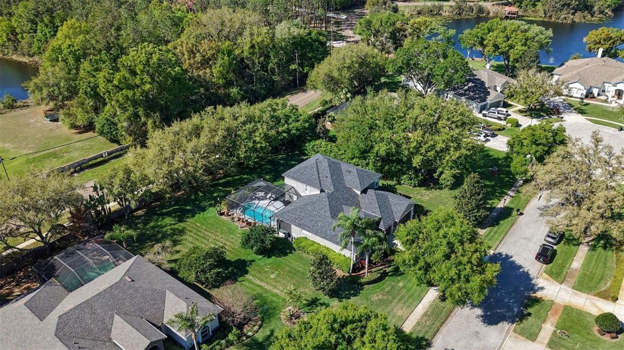 1310 Oxbridge Drive, Lutz, FL 33549 Photo