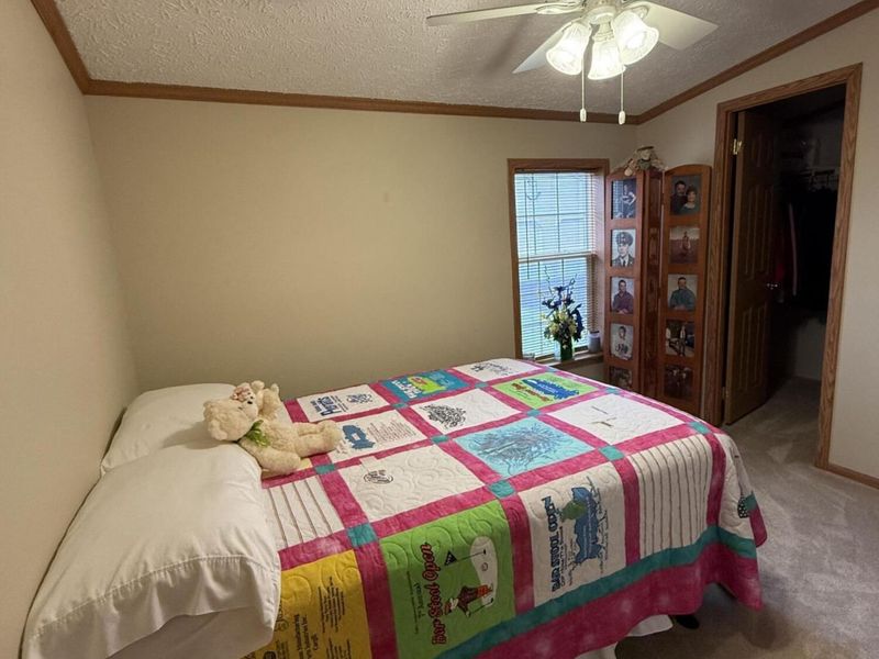 10526 Mercer Auglaize Co Lin Road, Saint Marys, OH 45885 Photo 21