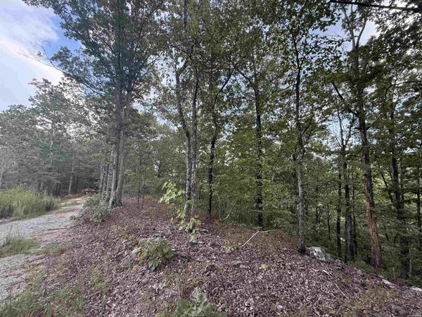 321 PLATA HOLLOW, Royal, AR 71965