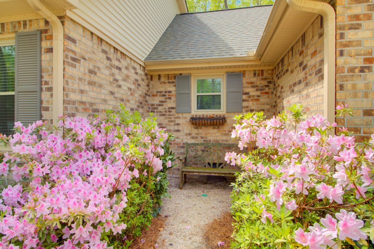 101 Huckleberry Lane Photo 37