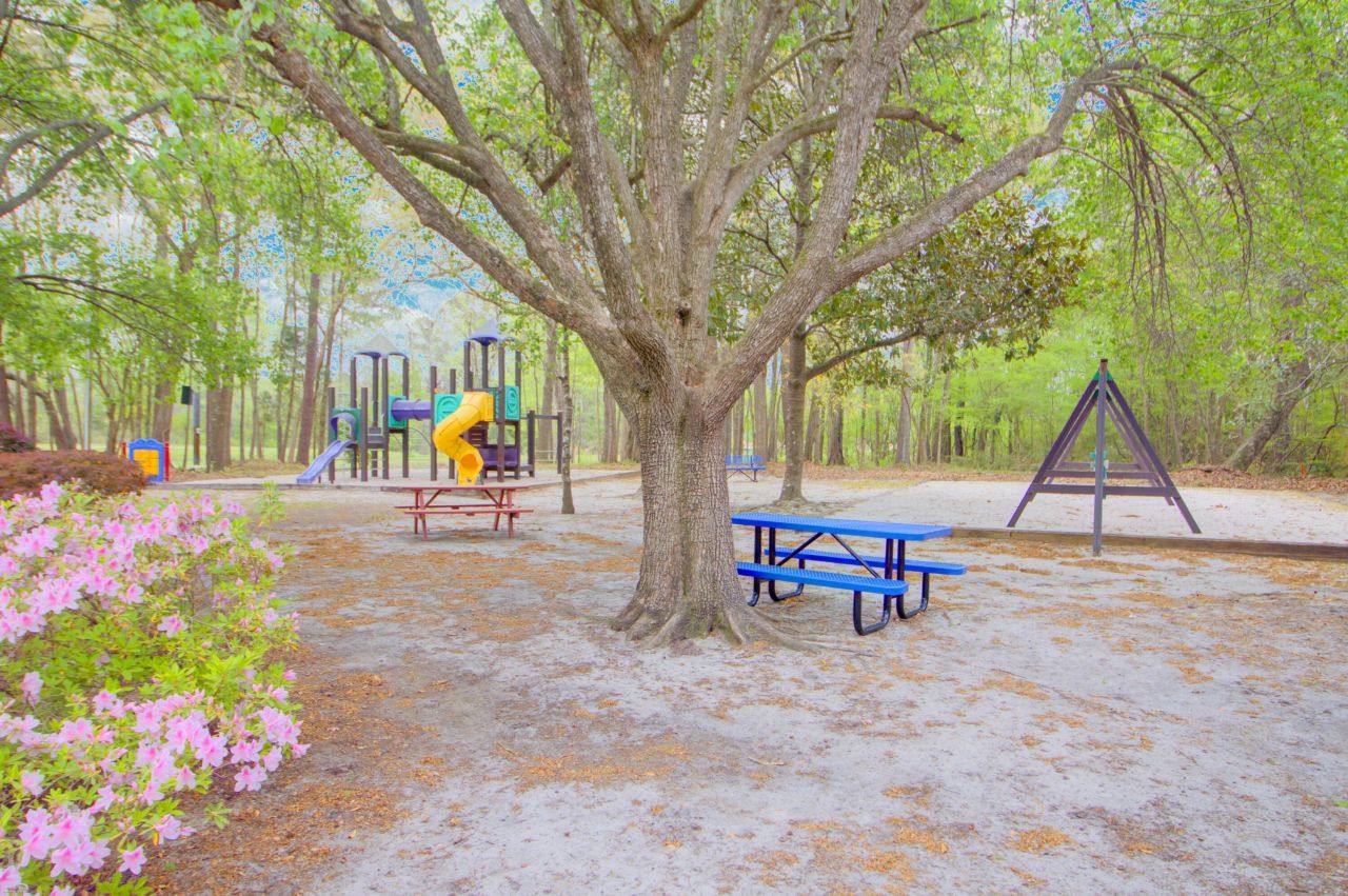 101 Huckleberry Lane Photo 42