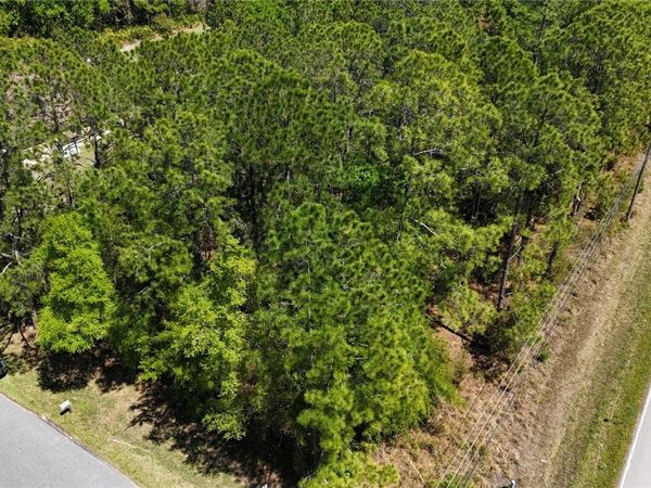 PINE LANDS DR , WESLEY CHAPEL, FL 33544