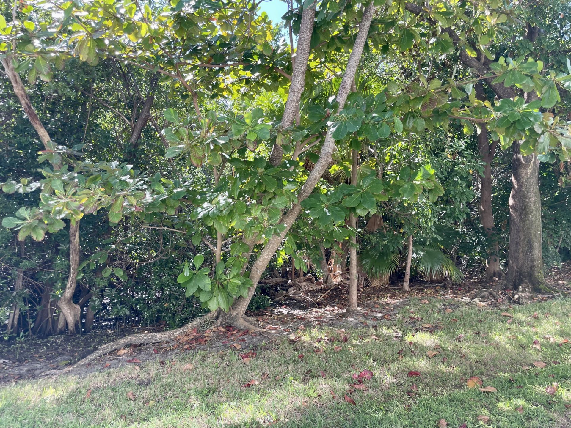 4501 S Ocean Boulevard, Unit E5, Lantana, FL 33480 Photo