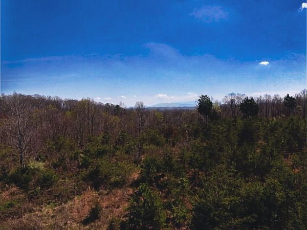 317 Mountain View Drive , Vonore, TN 37885