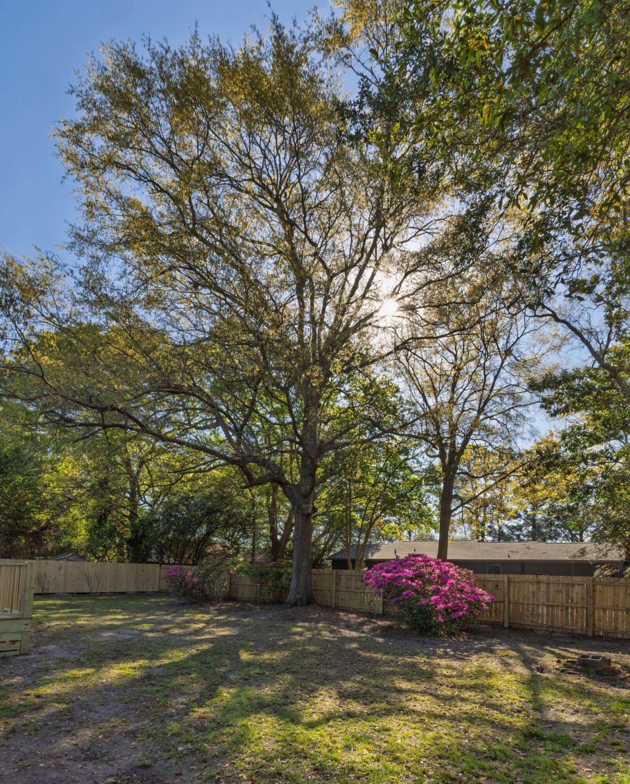 1317 Coleridge Street Photo 18