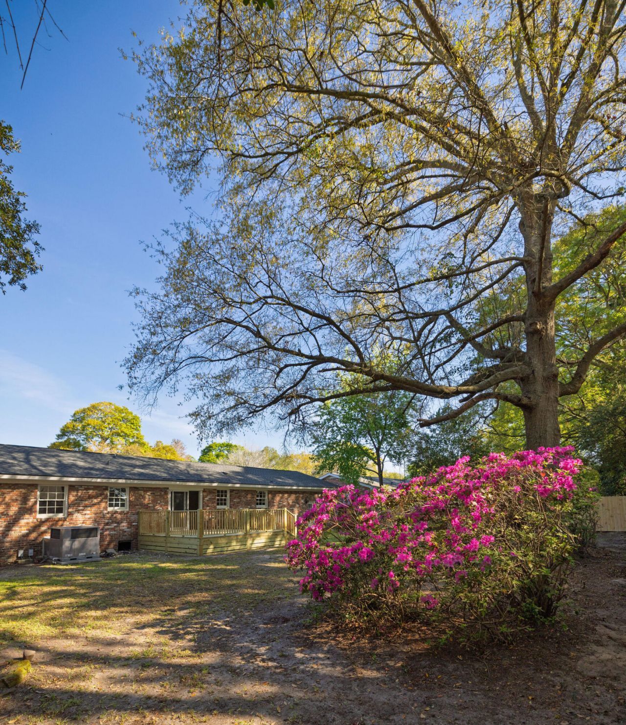 1317 Coleridge Street Photo 20