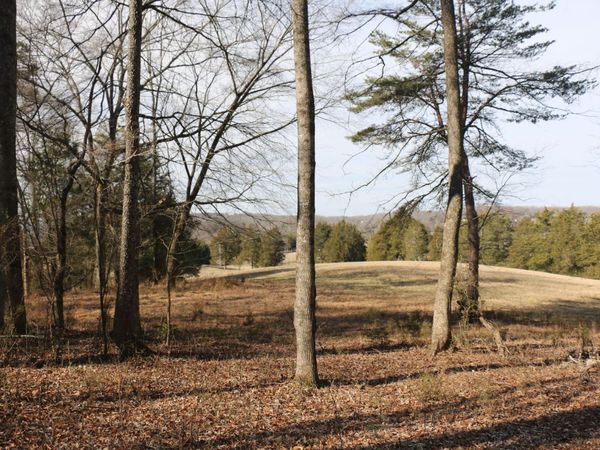 Lot 2 Highway 39w , Athens, TN 37303
