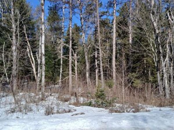 Lot 2 Lake Lodge Drive, Cable, WI 54821