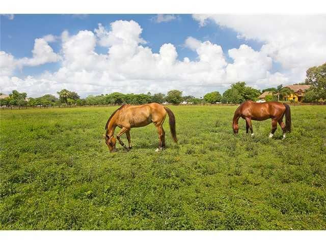 2088 Appaloosa Trail, Wellington, FL 00000 Photo