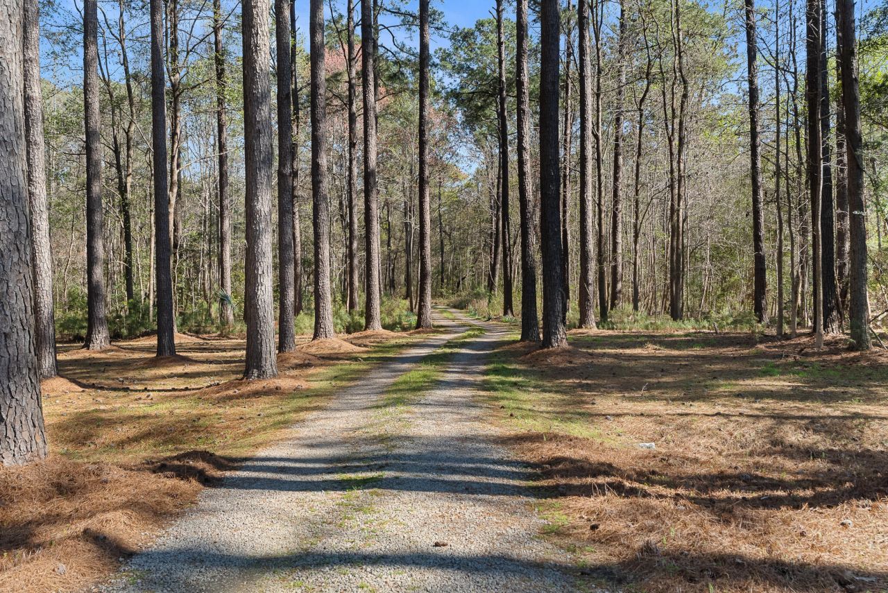 6042 Pawlett Blake Lane Photo 11