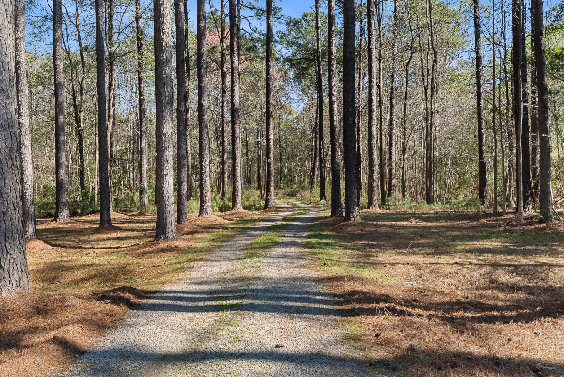 6042 Pawlett Blake Lane Photo 14