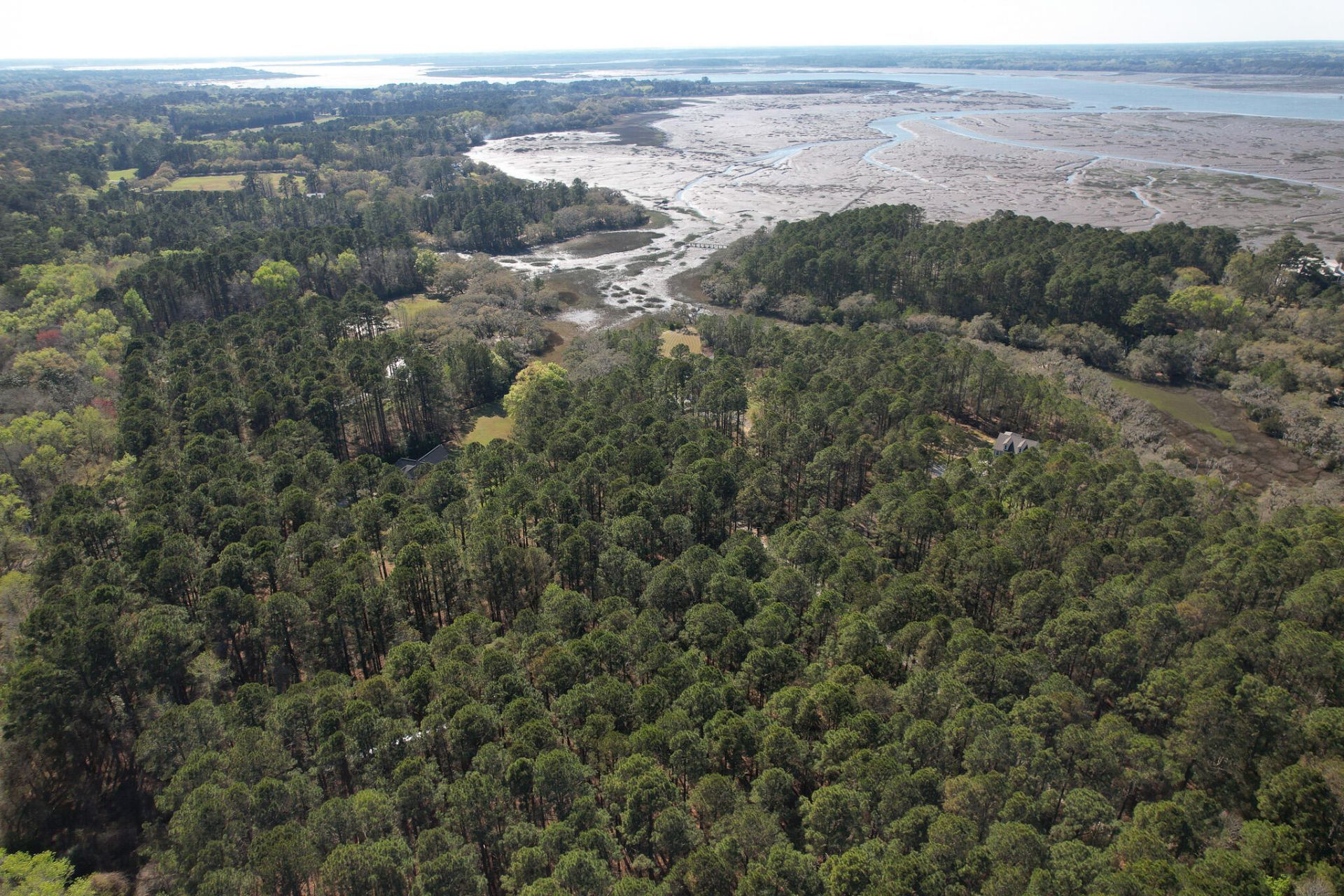 6042 Pawlett Blake Lane Photo 76