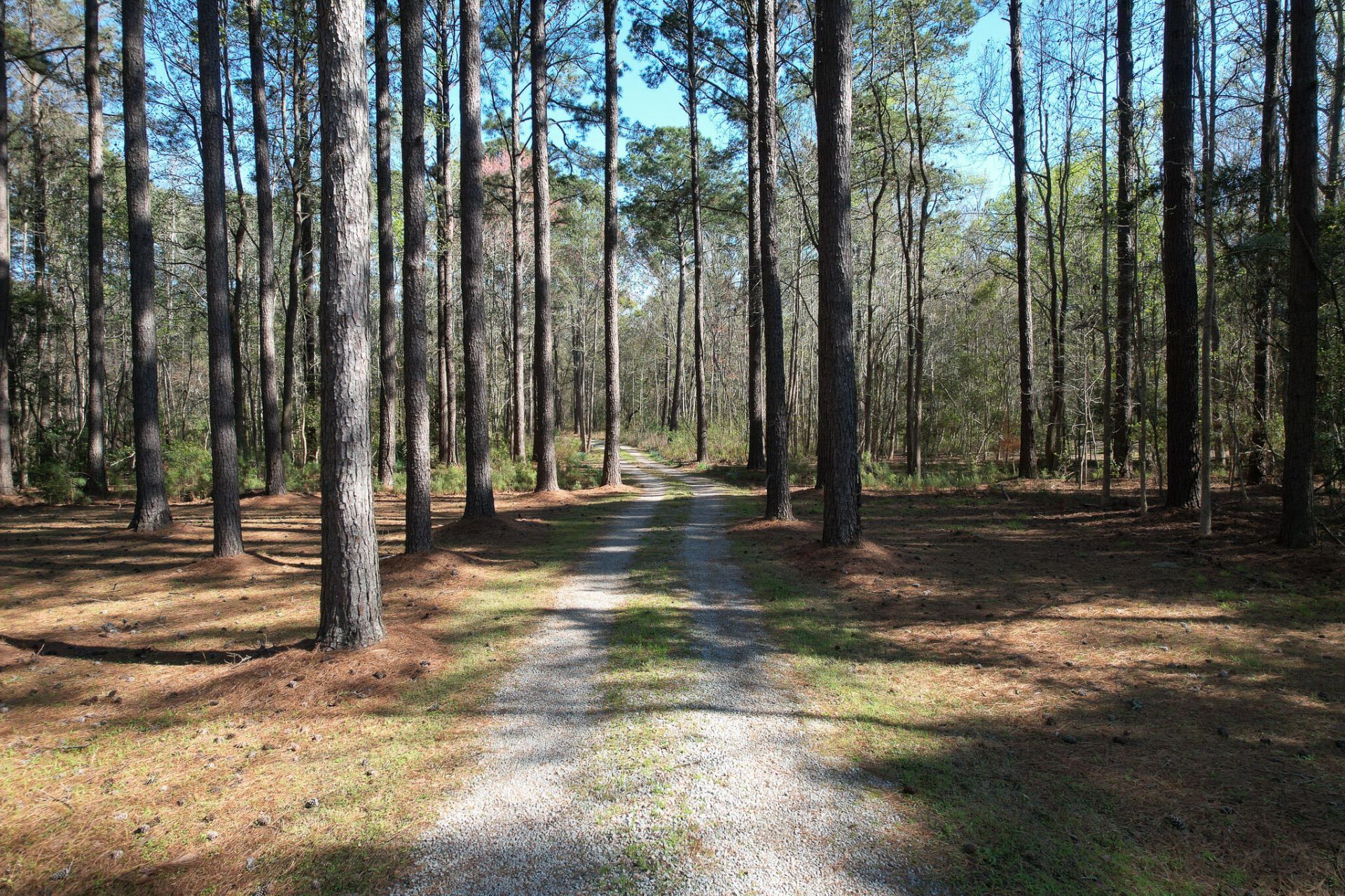 6042 Pawlett Blake Lane Photo 79