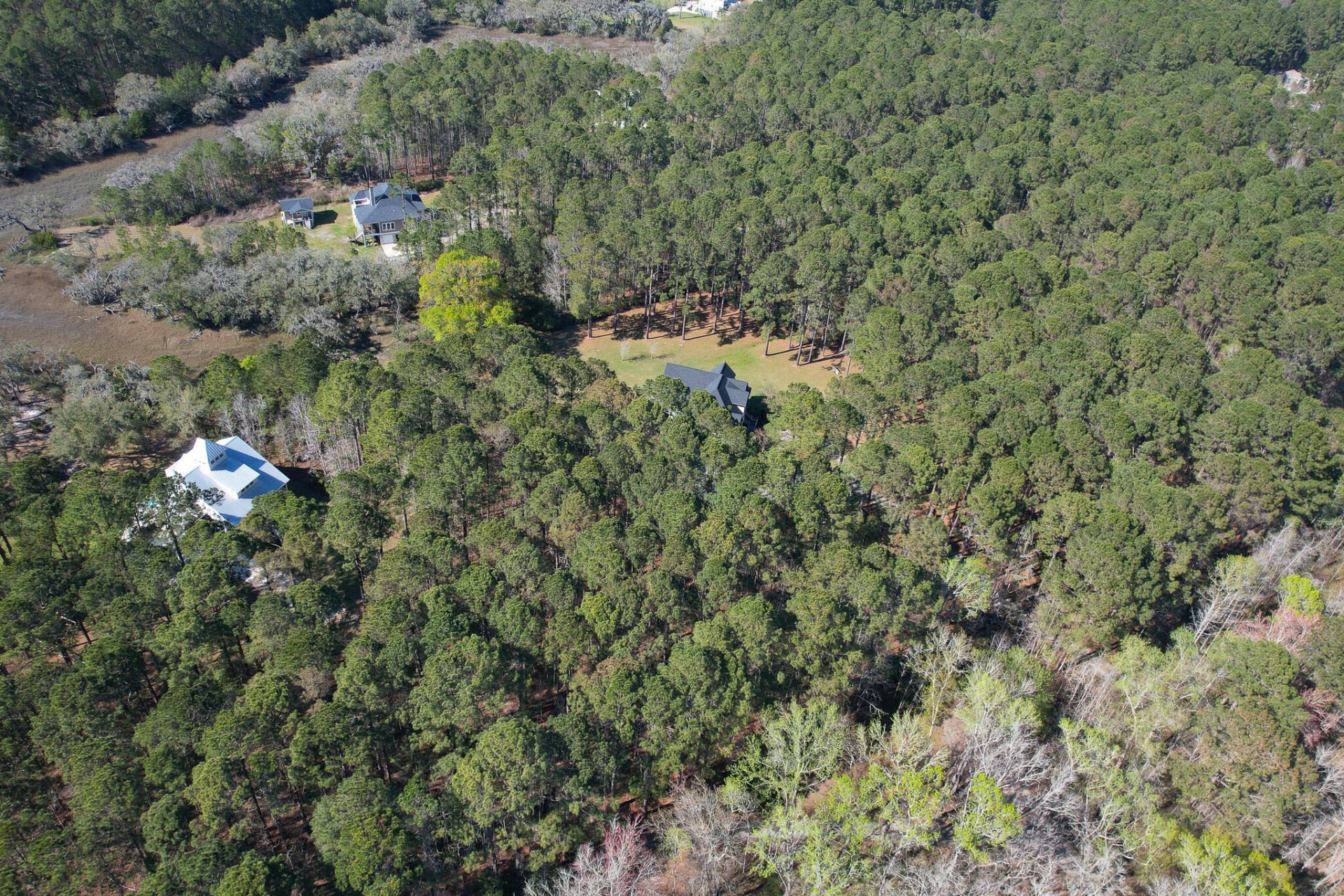 6042 Pawlett Blake Lane Photo 81