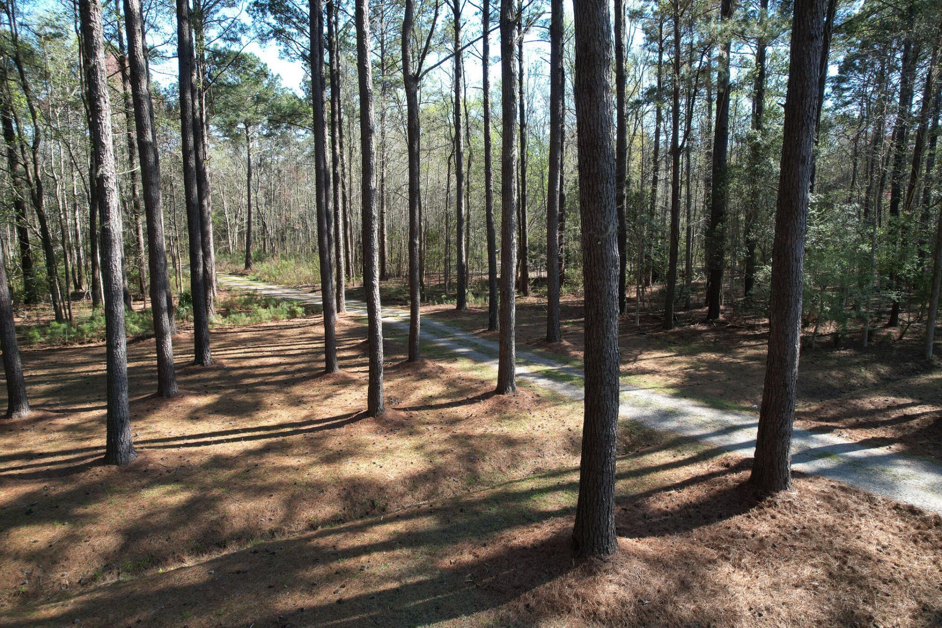 6042 Pawlett Blake Lane Photo 83