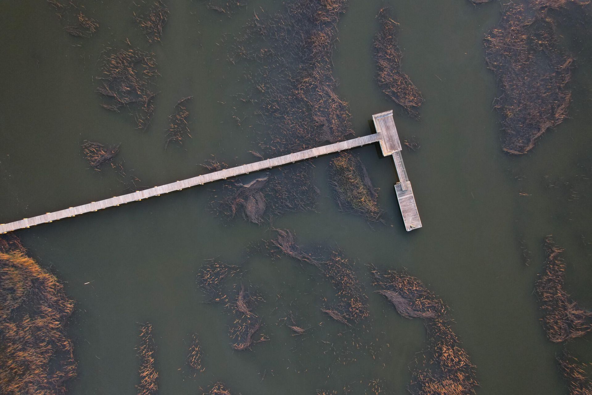 6042 Pawlett Blake Lane Photo 85